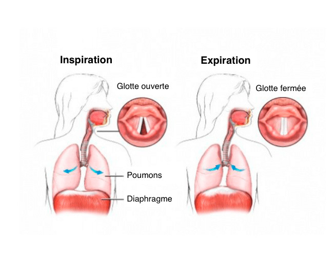 «Уджай»: оздоровительная дыхательная техника для кардиореспираторной системы