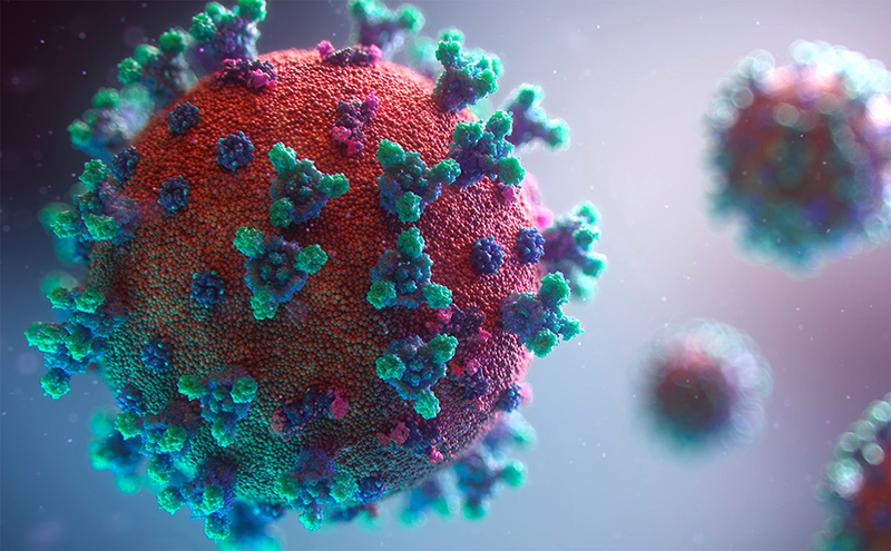 Мутации коронавируса. Мифы и реальность