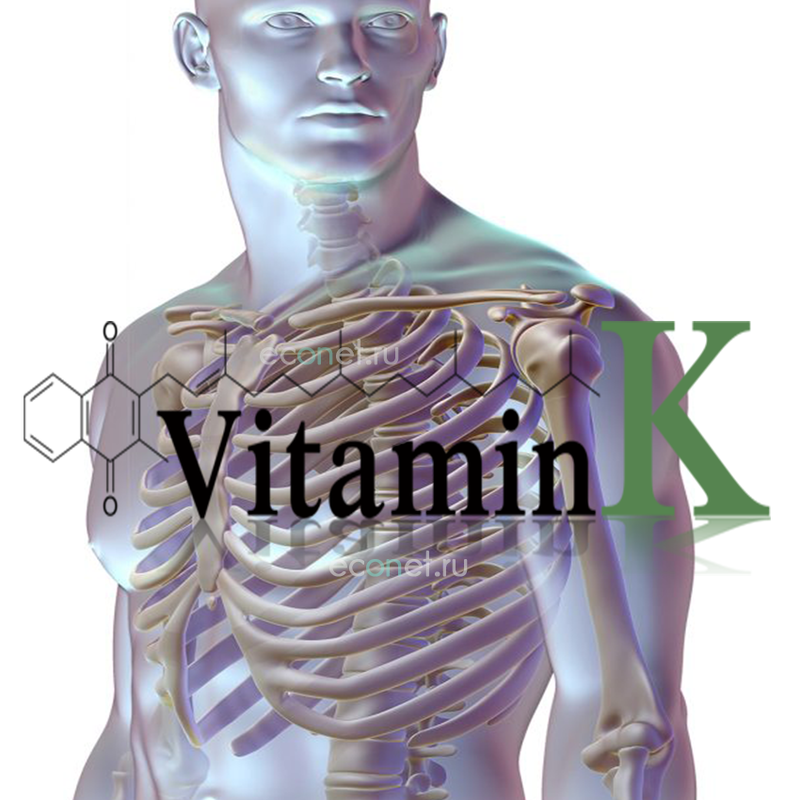 Витамин К2 – ключевой элемент в обмене веществ