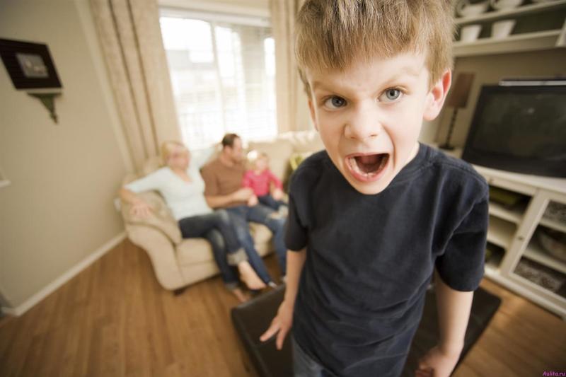 Агрессивный ребенок, или Как родителям остаться в живых?