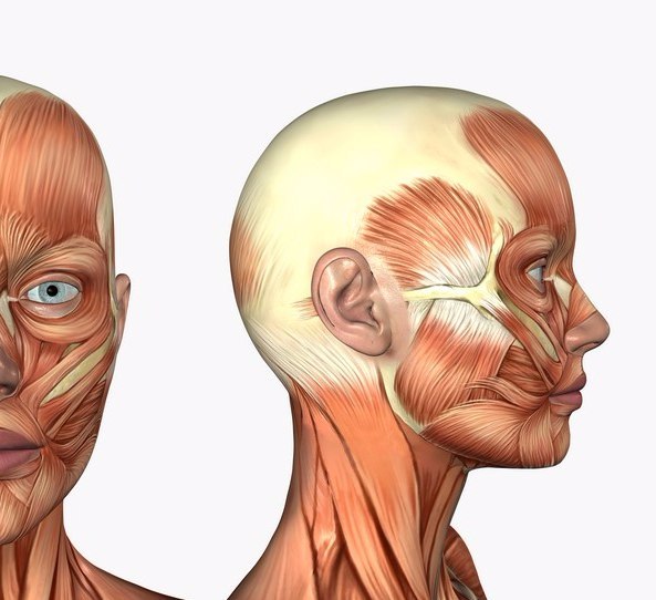 Лифтинг-упражнения для глаз: стираем морщины с лица!