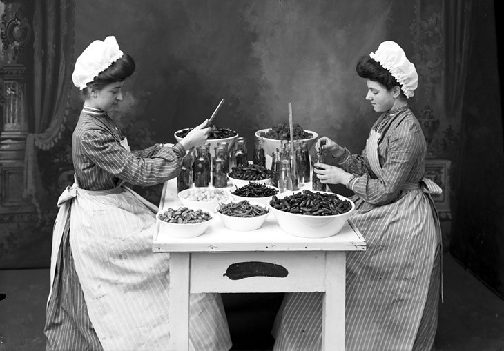  Два традиционных рецепта 1909 года  засолки огурцов