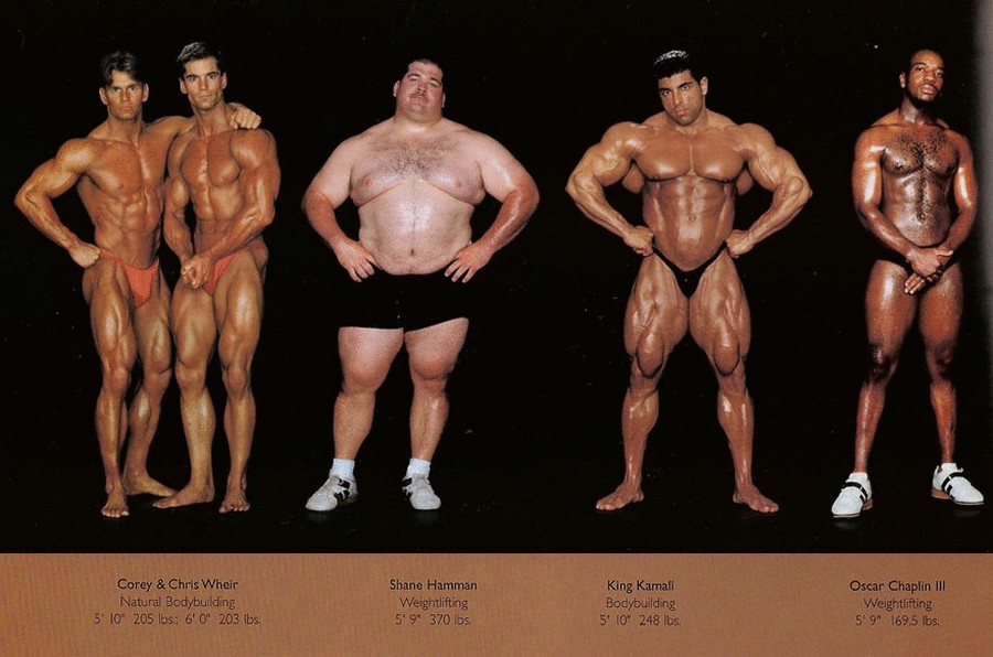 Как выглядят тела спортсменов разных видов спорта