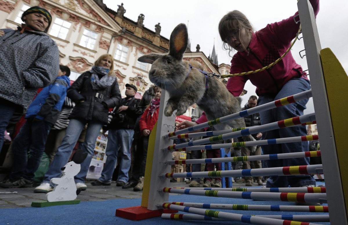 on-april-14-people-watch-a-rabbit-jumping-over-an-obstacle-at-the-traditional-easter-market-at-the-old-town-square-in-prague
