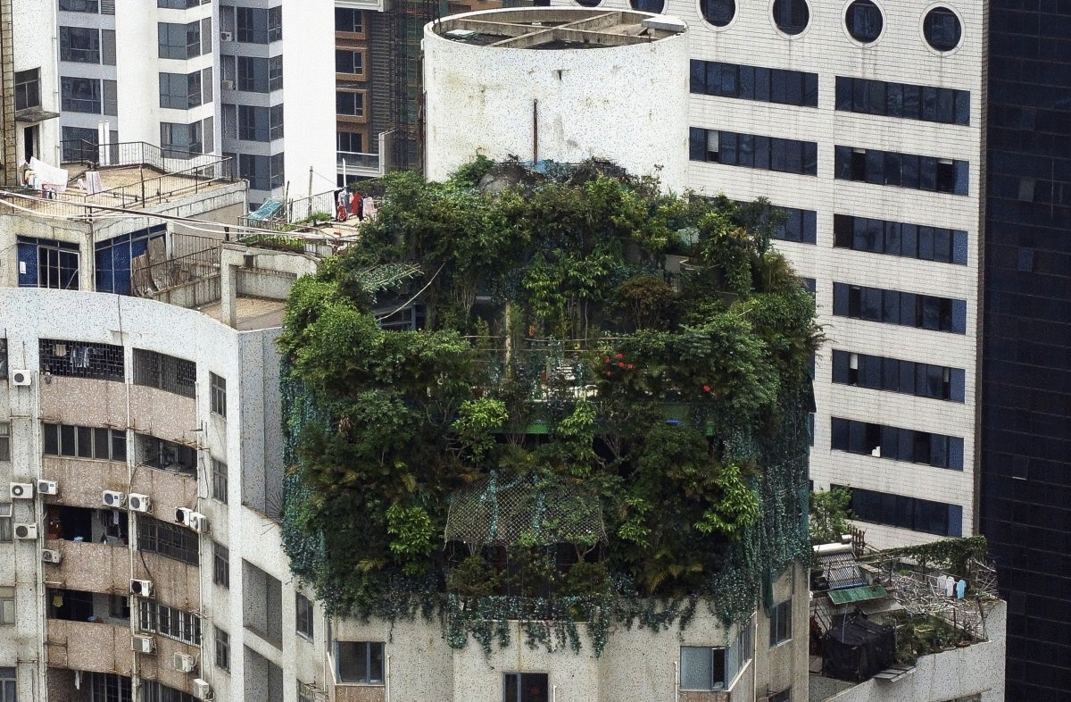 a-suspected-illegal-construction-is-seen-covered-by-green-plants-atop-a-19-story-residential-building-in-guangzhou-china-on-april-11-the-suspected-illegal-construction-was-built-10-years-ago-local-law-enforcement-departm