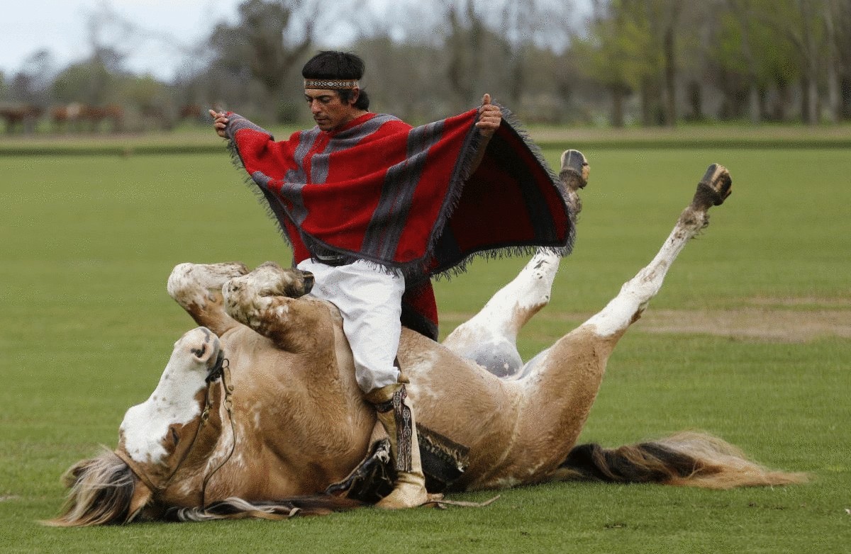 horse-whisperer-martin-tata-sits-on-his-five-year-old-horse-primavera-as-he-performs-a-demonstration-of-indian-taming-at-the-polo-club-puesto-viejo-ranch-in-canuelas-argentina-tata-says-his-techniques-are-less-violent-an
