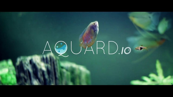 Aquardio – интерактивный аквариум на экране монитора