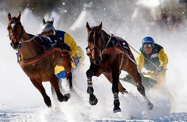 6 зимних видов спорта, которые пока не стали олимпийскими 