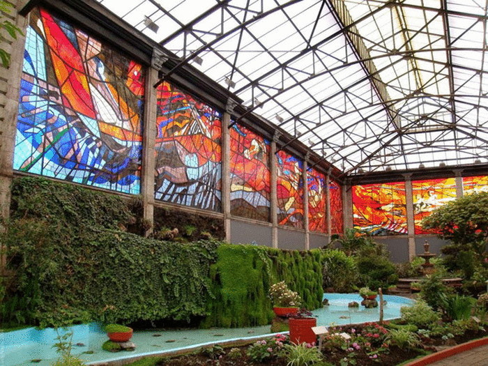 Ботанический сад с роскошными витражами в Мексике 