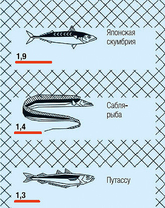 Интереснейшая инфографика для любителей рыбы