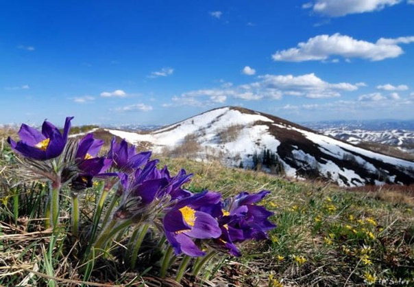 Весна в горах 